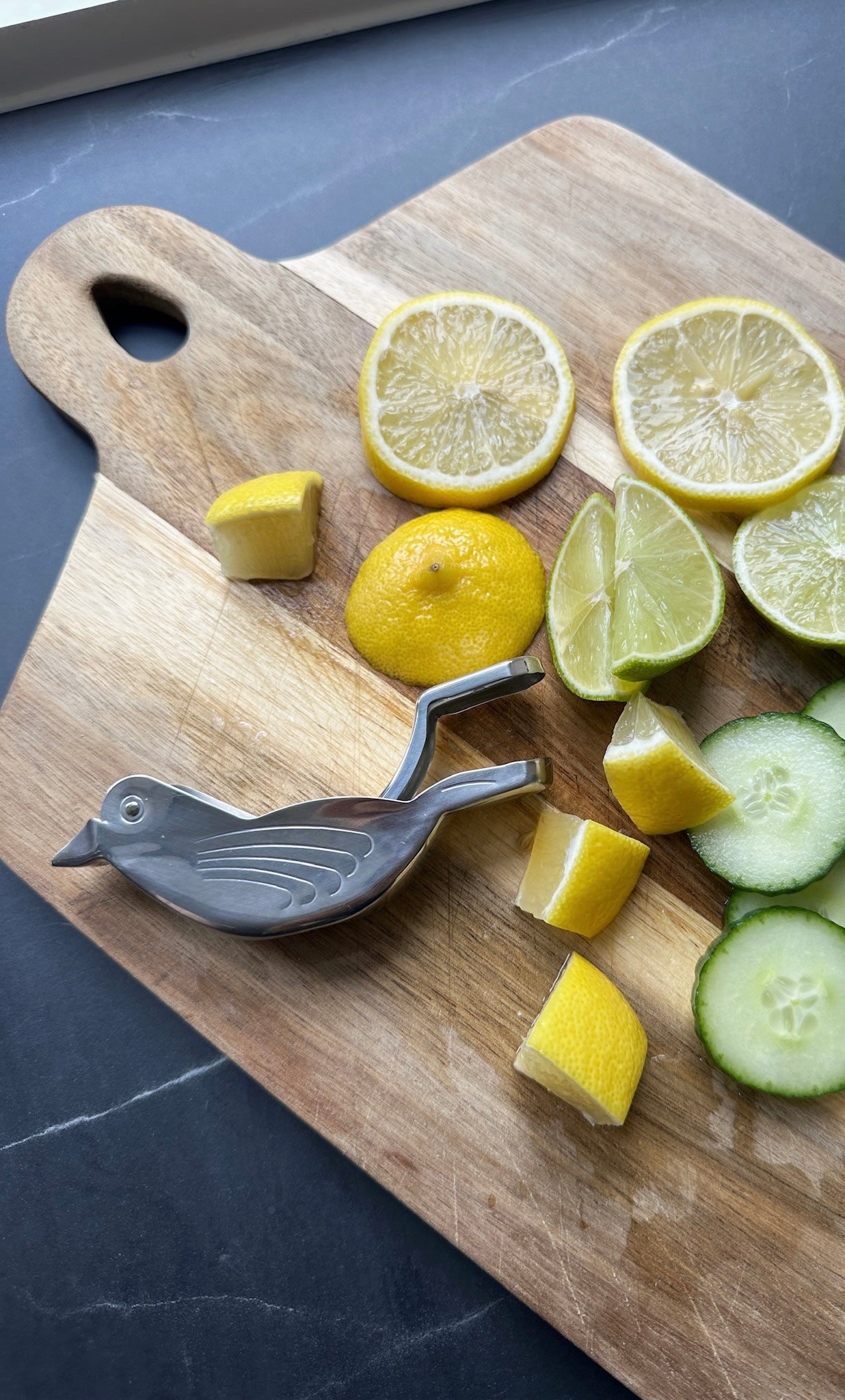 Citrus press in stainless steel with bird motif