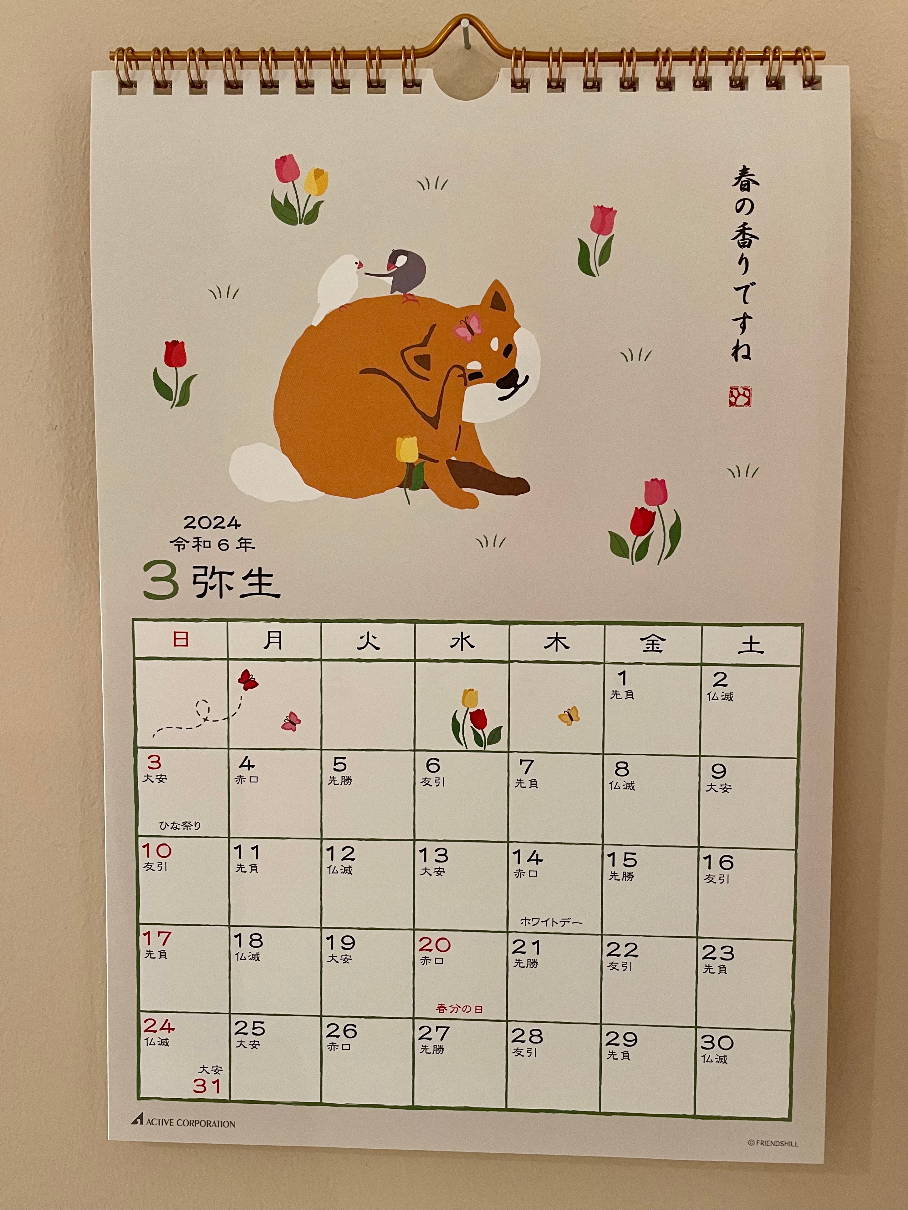 Kalender 2024 med Shiba