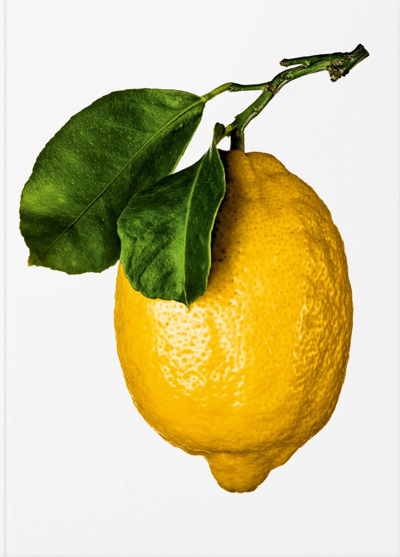 Coffee table book - The Gourmand’s Lemon. A Collection of Stories and Recipes