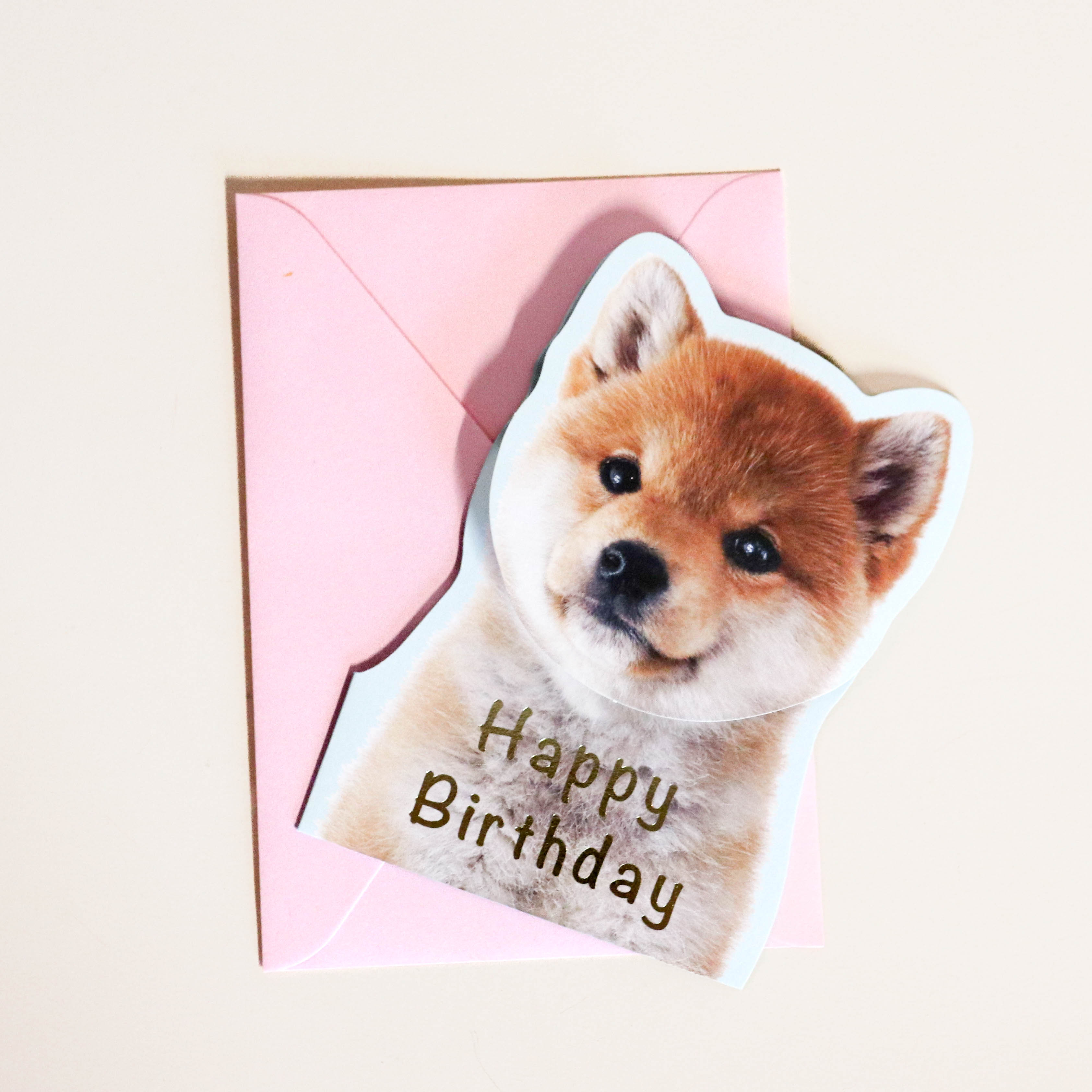 Japanese Birthday Card - Shiba puppy with pop-up head