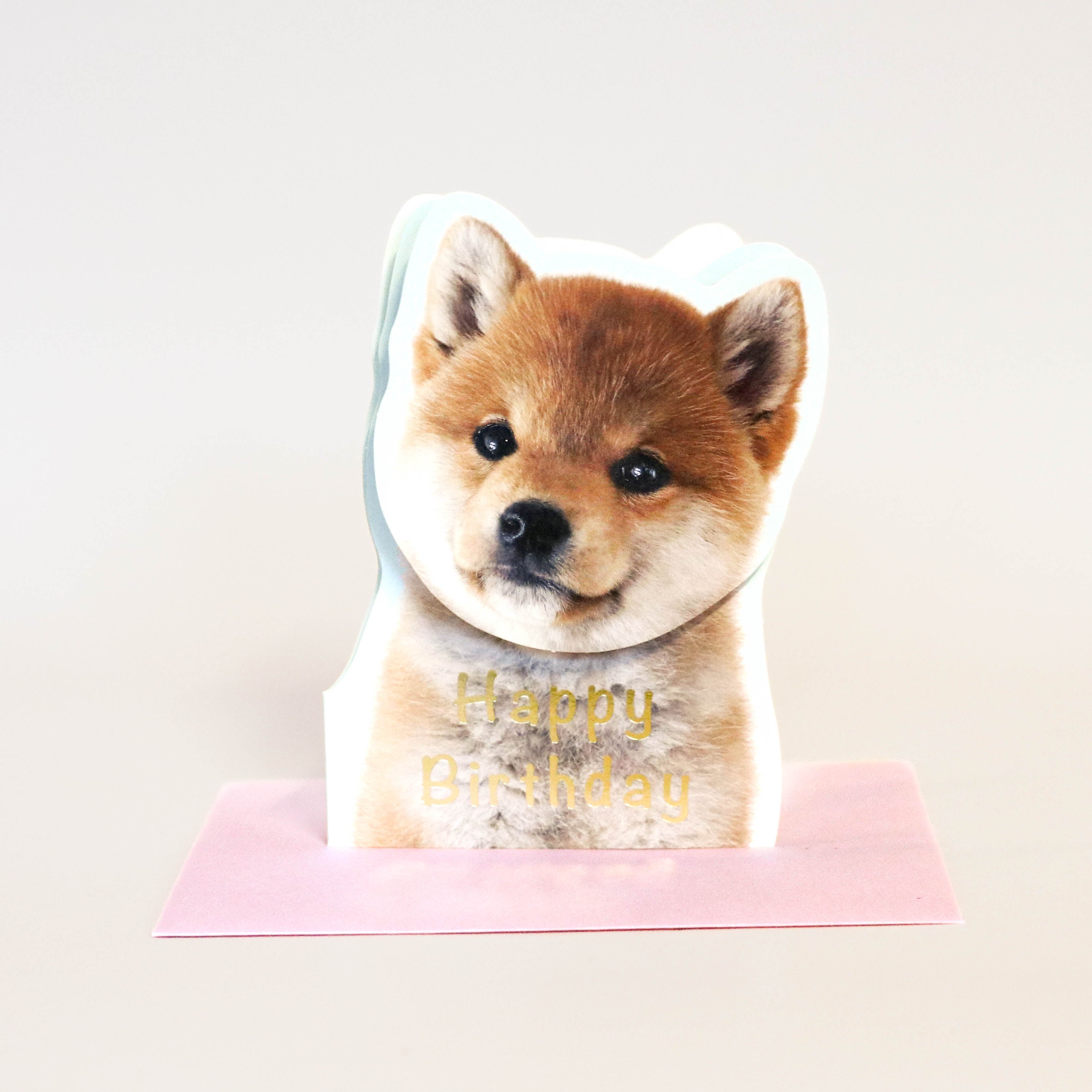 Japanese Birthday Card - Shiba puppy with pop-up head